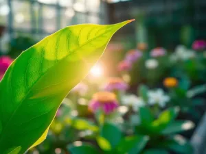 Aplikacja do robienia zdjęć – najlepsze opcje i funkcje do odkrycia