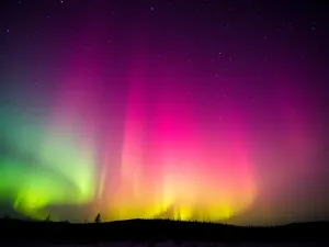 Glukometr za darmo przez internet – jak go otrzymać?