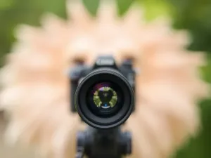 Jak zrobić ładne zdjęcie profilowe? Praktyczne porady i przykłady